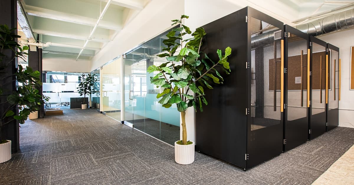 Mental Health & Wellness Startup Pitch Deck: Structuring a Pitch With Purpose